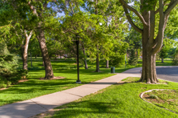 After new light fixtures in Glenmere Park